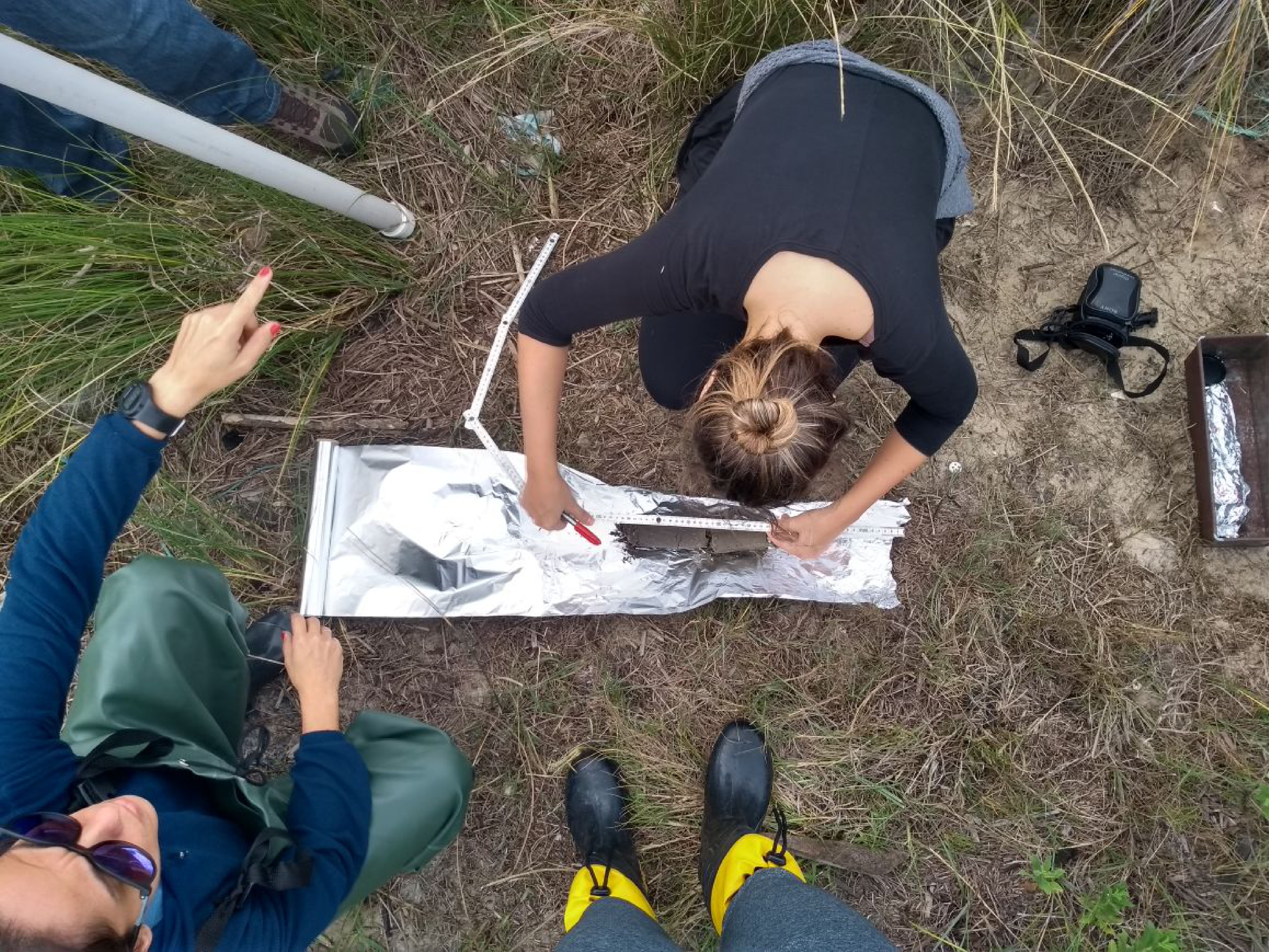 Atividades desenvolvidas