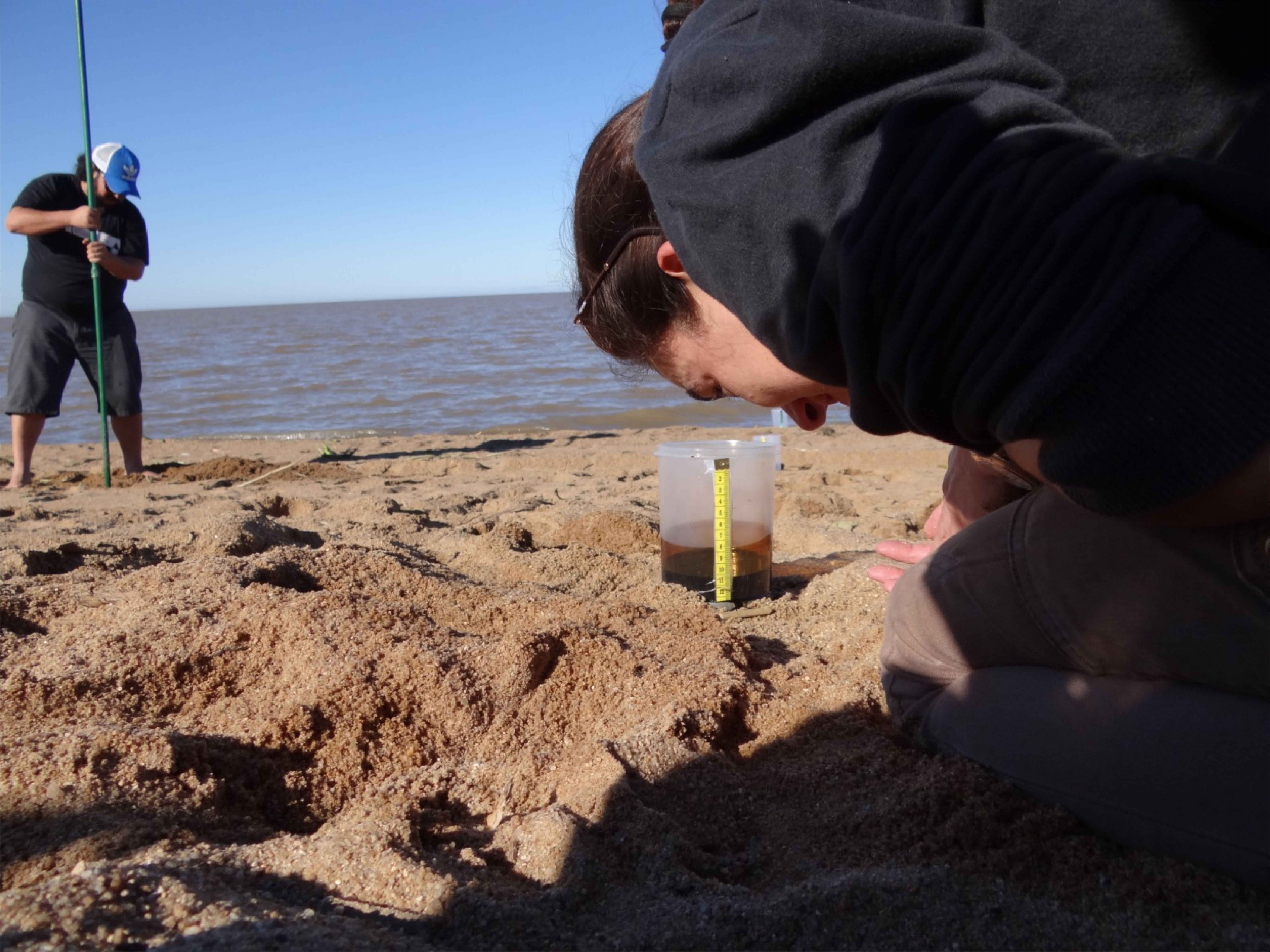 Atividades desenvolvidas