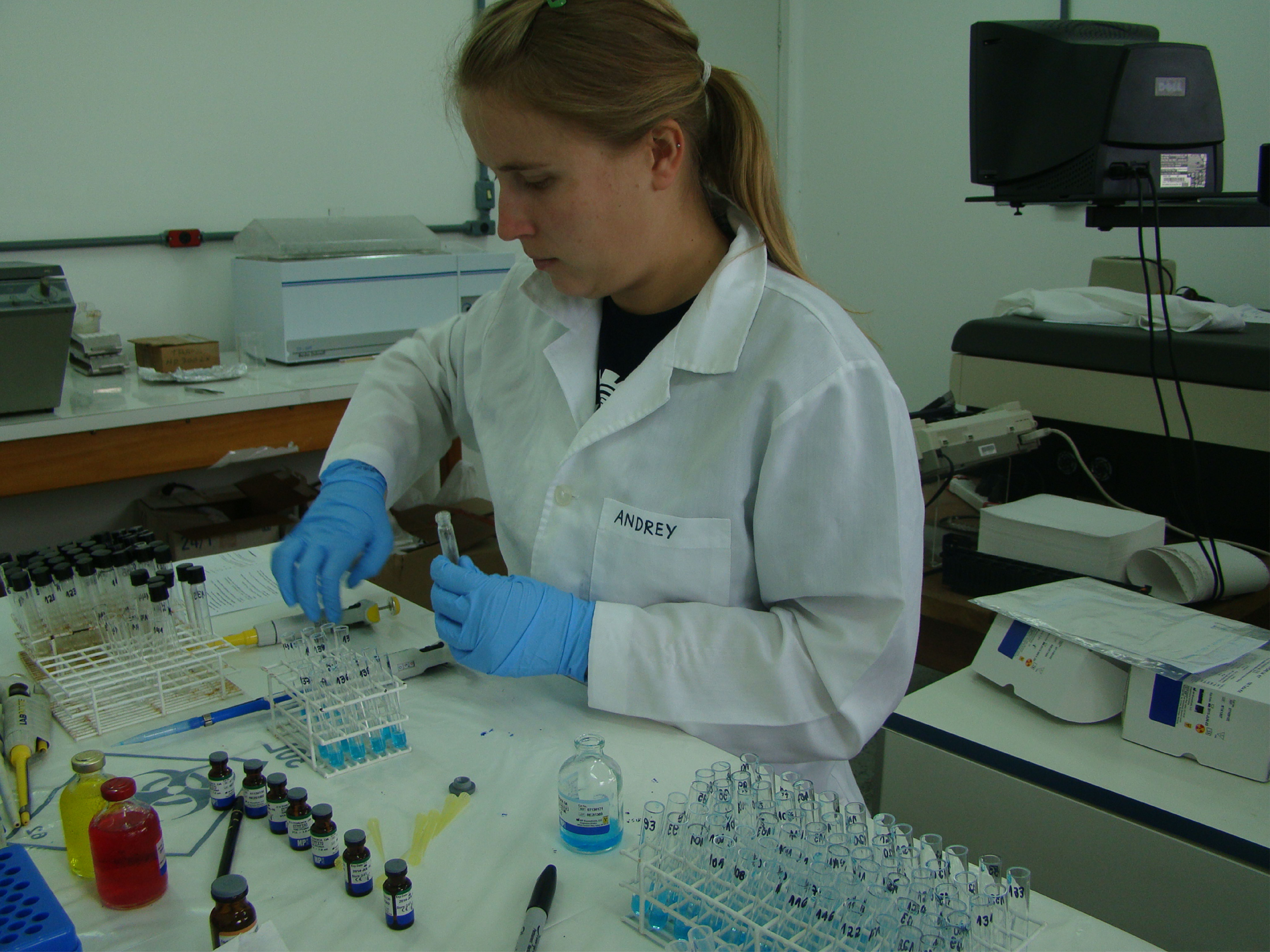 Atividades desenvolvidas